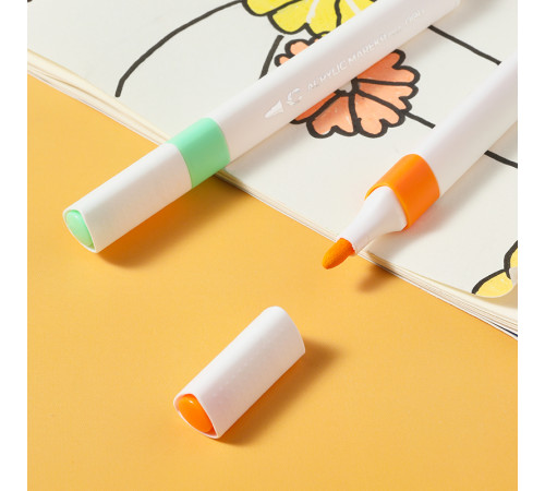 Набор акриловых маркеров Deli "Color Emotion", универсальные, 12 цветов