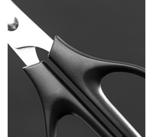 Ножницы DELI "M600", 170 мм, нержавеющая сталь, пластиковые ручки, ассорти