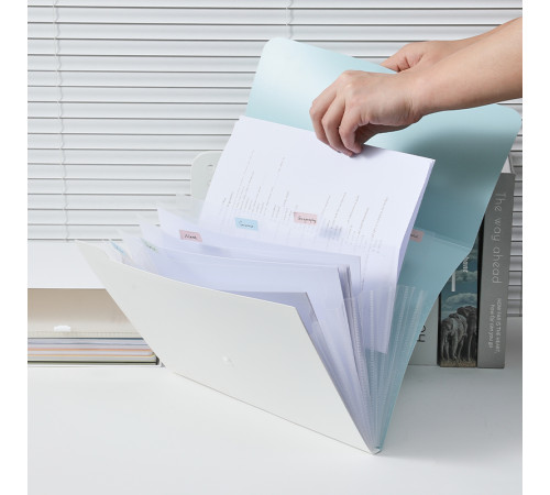 Папка-конверт на кнопке DELI "LonGreen", А4, 8 отделений, ассорти