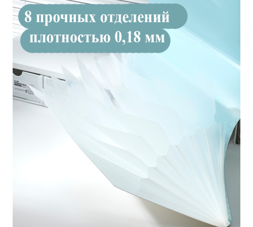 Папка-конверт на кнопке DELI "LonGreen", А4, 8 отделений, ассорти