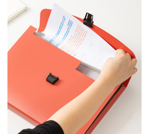 Папка-портфель DELI, А4, 13 отделений, 0,75 мм,  ассорти 