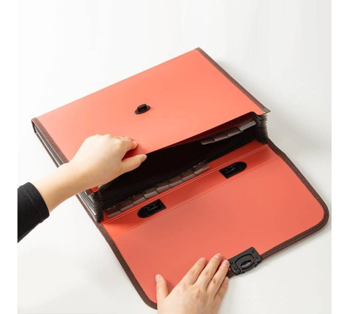 Папка-портфель DELI, А4, 13 отделений, 0,75 мм, ассорти