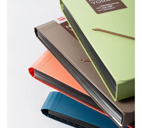 Папка-портфель DELI, на резинке 13 отделений,  ассорти