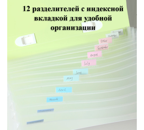 Папка-портфель DELI "LonGreen", А4, 13 отделений, 0,75 мм, ассорти