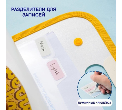 Папка-портфель DELI "SpongeBob" для тетрадей, А4, 7 отделений,на кнопках