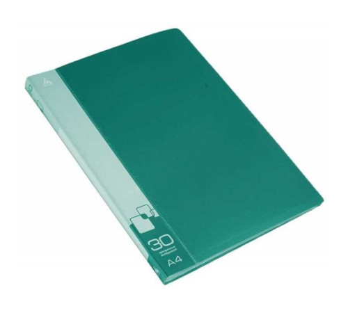 Папка с файлами БЮРОКРАТ на 30 вкладышей, зеленая