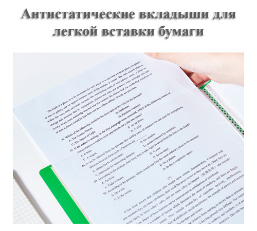 Папка с файлами DELI "Classic" на 10 вкладышей, 0.5 мм, зеленая