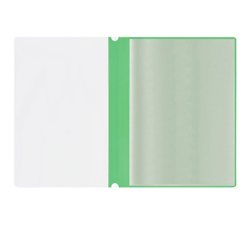 Папка с файлами СТАММ на 10 вкладышей с перфорацией, зеленая
