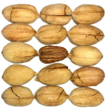 Пекан неочищенный, кг