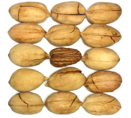 Пекан неочищенный, кг