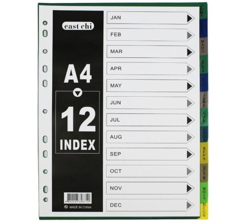 Разделитель пластиковый BASY, А4, January-December, цветной