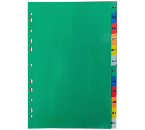 Разделитель пластиковый BASY, А4, January-December, цветной