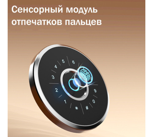 Сейф DELI "AE691-Z" биометрический + электронный замок + ключ, 600х430х400 мм, 52 кг, оранжевый