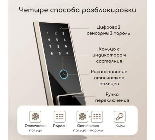 Сейф мебельный DELI "ET596" биометрический + электронный замок+ключ, 600х380х360 мм, 23,3 кг, черный