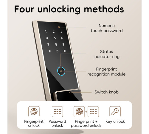 Сейф мебельный DELI "T595" биометрический + электронный замок+ключ, 450х380х320 мм, 19,3 кг, черный