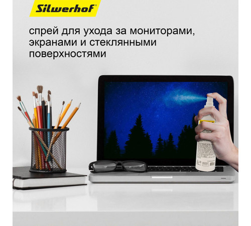 Спрей чистящий для экранов и мониторов Silwerhof, универсальный, 250 мл