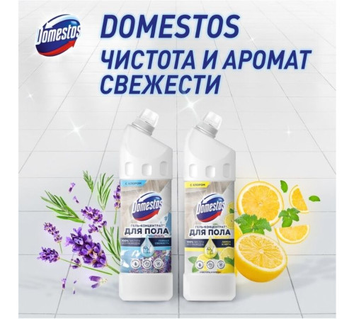 Средство для мытья полов Domestos "Чистота и блеск. Лимон и мята", гель, концентрат, с хлором, 1 л