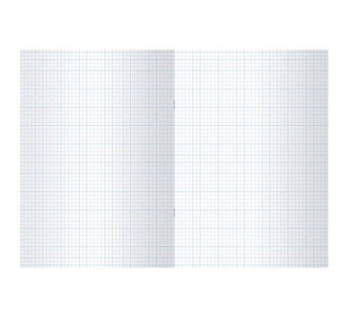 Тетрадь общая BG, А4, 80 листов в клетку, обложка бумвинил, синий, эконом