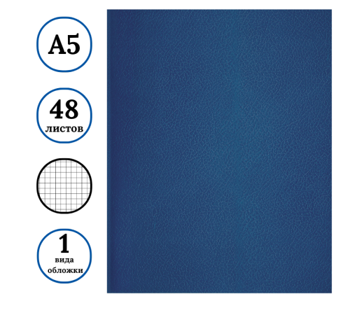 Тетрадь общая BG, А5, 48 листов в клетку, обложка бумвинил, синий, эконом