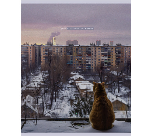 Тетрадь общая BG "Двор", А5, 48 листов в клетку, на скрепке