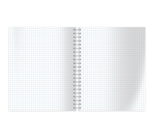 Тетрадь общая BG "Monocolor. Classic", А4, 80 листов в клетку, на спирали