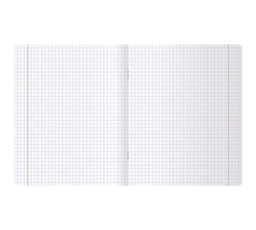 Тетрадь общая BG "Сочная тетрадь", А5, 48 листов в клетку, на скрепке