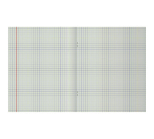 Тетрадь общая BG "Весна", А4, 80 листов в клетку, на скрепке