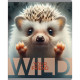 Тетрадь общая BG "Wild", А5, 48 листов в клетку, на скрепке