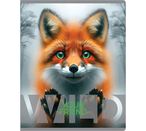 Тетрадь общая BG "Wild", А5, 48 листов в клетку, на скрепке