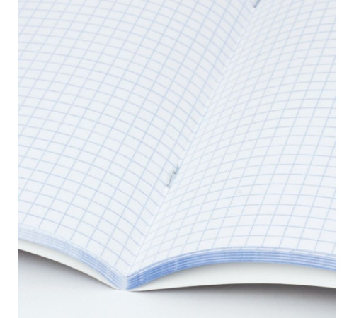 Тетрадь общая BRAUERG "Inday", А4, 96 листов в клетку, на скрепке