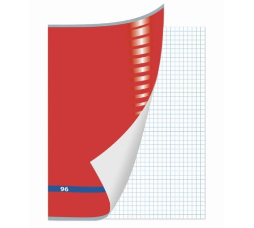 Тетрадь общая BRAUERG "Inday", А4, 96 листов в клетку, на скрепке