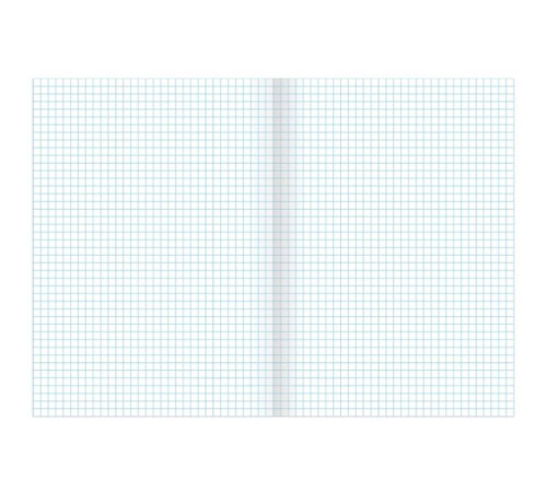 Тетрадь общая BRAUERG "Замки", А4, 96 листов в клетку, на скрепке