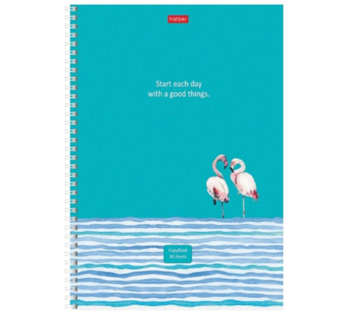 Тетрадь общая Hatber, А4, 80 листов в линейку, картон, на спирали, ассорти