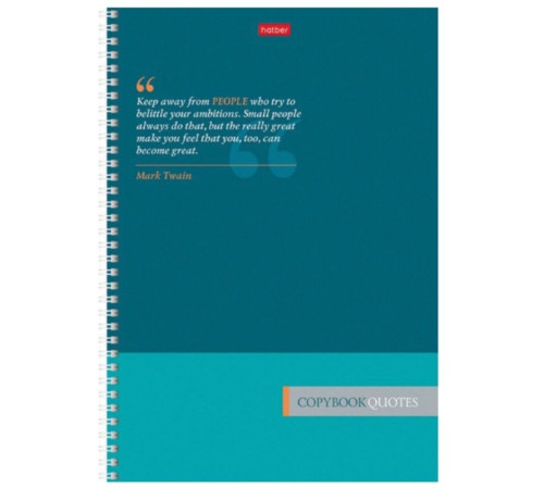 Тетрадь общая Hatber, А4, 80 листов в линейку, картон, на спирали, ассорти