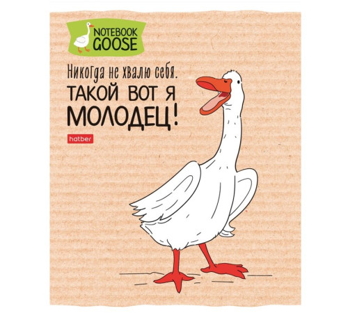 Тетрадь общая Hatber "Гусь веселюсь", А5, 48 листов в клетку, картон, на скрепке, ассорти