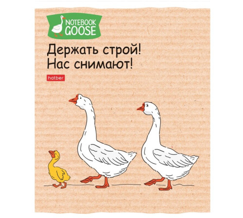 Тетрадь общая Hatber "Гусь веселюсь", А5, 48 листов в клетку, картон, на скрепке, ассорти