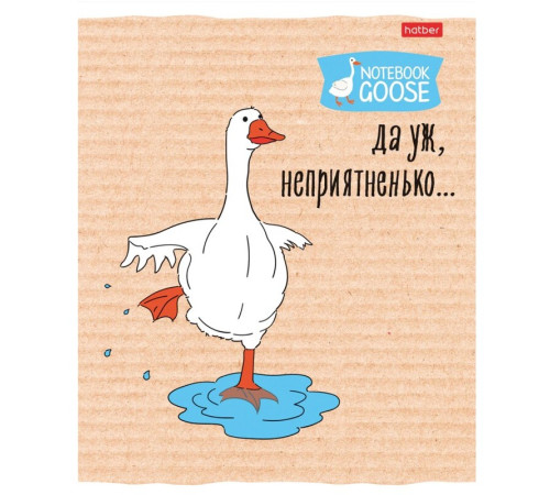 Тетрадь общая Hatber "Гусь веселюсь", А5, 48 листов в клетку, картон, на скрепке, ассорти