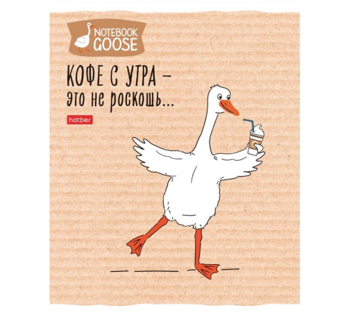 Тетрадь общая Hatber "Гусь веселюсь", А5, 48 листов в клетку, картон, на скрепке, ассорти