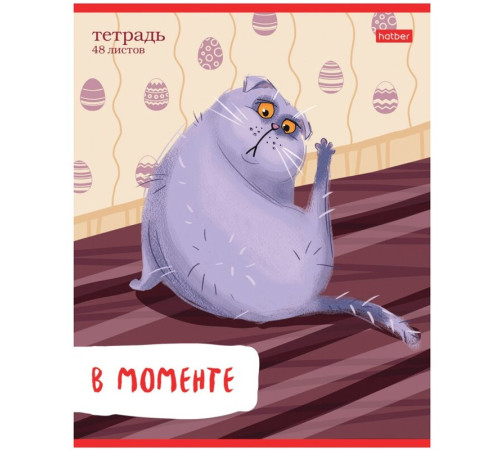 Тетрадь общая Hatber "Кот-обормот", А5, 48 листов в линейку, картон, на скрепке, ассорти