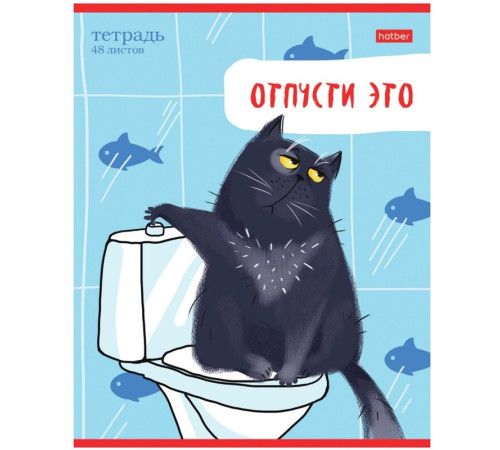 Тетрадь общая Hatber "Кот-обормот", А5, 48 листов в линейку, картон, на скрепке, ассорти