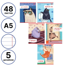 Тетрадь общая Hatber "Кот-обормот", А5, 48 листов в линейку, картон, на скрепке, ассорти