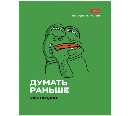 Тетрадь общая Hatber "Лягушонок Пепе", А5, 48 листов в клетку, картон, на скрепке, ассорти