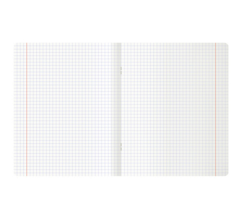 Тетрадь общая MESHU "Сhatty cat", А5, 48 листов в клетку, матовая ламинация, выб. лак, на скрепке