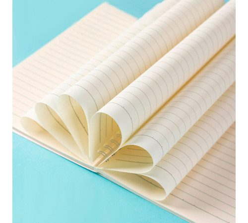 Записная книжка DELI "Linfini" на спирали, А5, 60 листов в линейку, ассорти