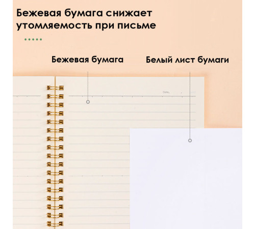 Записная книжка DELI "Retro" на спирали, А5, 60 листов в линейку, ассорти