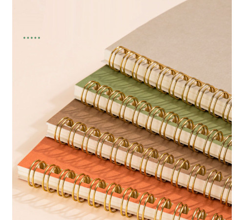 Записная книжка DELI "Retro" на спирали, А5, 60 листов в линейку, ассорти