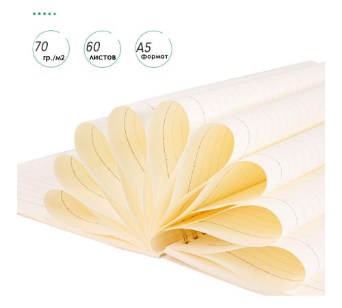 Записная книжка DELI "Retro" на спирали, А5, 60 листов в линейку, ассорти