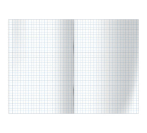 Тетрадь общая BG "Monocolor. Chat", неоновые краски, А4, 80 листов в клетку, на скрепке